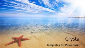  Presentation with pine trees sun shining through - Presentation featuring sun rays shine on beautiful background and a coral colored foreground