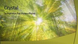  Presentation with divine - Amazing presentation design having sun rays shinning trough backdrop and a yellow colored foreground