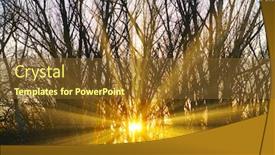  Presentation with dark forest - Presentation theme consisting of sun-rays-through-a-tree background and a tawny brown colored foreground