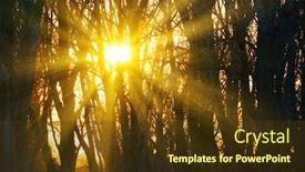  Presentation with dark forest - Beautiful slide set featuring sun-rays-through-a-tree backdrop and a tawny brown colored foreground