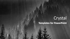  Presentation with pine forest - Slide deck consisting of sun-rays-through-misty-pine background and a dark gray colored foreground