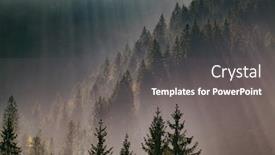  Presentation with misty - Presentation theme enhanced with sun-rays-through-misty-pine background and a dark gray colored foreground