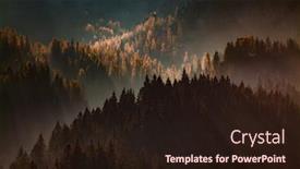  Presentation with pine forest - Amazing presentation theme having sun-rays-through-misty-pine backdrop and a wine colored foreground