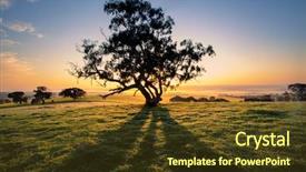  Presentation with sun rise - Colorful slide deck enhanced with sun rises behind a tree backdrop and a tawny brown colored foreground