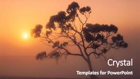 Presentation with sun rise - PPT layouts consisting of sun rises over a misty background and a tawny brown colored foreground