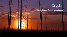  Presentation with forest fire - PPT theme featuring sun rising behind dead forest background and a  colored foreground
