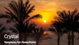  Presentation with palm tree - Presentation having sun rising over palm trees background and a wine colored foreground