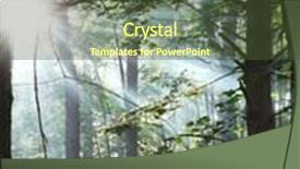  Presentation with shining forest - Beautiful theme featuring sun's rays shining backdrop and a tawny brown colored foreground