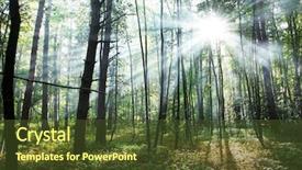  Presentation with shining forest - Slide deck enhanced with sun's rays shining background and a tawny brown colored foreground