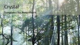  Presentation with shining forest - PPT theme featuring sun's rays shining background and a soft green colored foreground