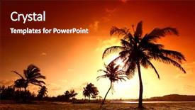  Presentation with palm - Presentation with sun set - palm in yellow sunrise sky background and a tawny brown colored foreground