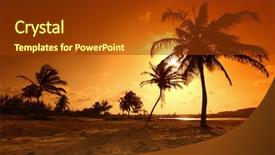  Presentation with palm - PPT layouts featuring sun set - palm in yellow sunrise sky background and a tawny brown colored foreground
