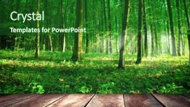  Presentation with fly agaric in forest - Slide set having sun set - sunbeams pour into the autumn background and a forest green colored foreground