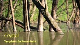  Presentation with water sun - Slides consisting of sun set - wood and water background and a tawny brown colored foreground