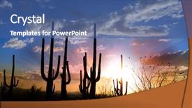  Presentation with saguaro - Colorful presentation theme enhanced with sun set and saguaro cactus backdrop and a ocean colored foreground