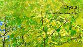  Presentation with summer sun - Colorful slide deck enhanced with coors - moors in front of pen-y-ghent backdrop and a tawny brown colored foreground