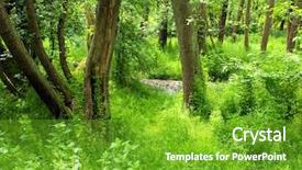  Presentation with mystic - Slide set having sun set background - serene mystic forest background and a  colored foreground