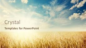  Presentation with summer sun - Presentation design featuring sun-setting-on-wheat-field background and a cream colored foreground