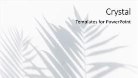  Presentation with palm leaves - Colorful presentation theme enhanced with sun shadows - shadow of palm leaves backdrop and a white colored foreground