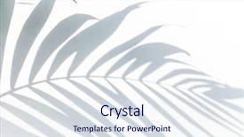  Presentation with palm leaves - Beautiful presentation theme featuring sun shadows - shadow of palm leaves backdrop and a sky blue colored foreground