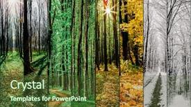  Presentation with summer winter autumn spring - Colorful slides enhanced with sun shining earth - collage forest season backgrounds winter backdrop and a tawny brown colored foreground