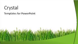  Presentation with green gram - Audience pleasing slide deck consisting of sun shining earth - green spring grass background backdrop and a white colored foreground