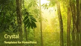  Presentation with tropical forest - Beautiful PPT layouts featuring sun shining earth - tropical rain forest with morning backdrop and a tawny brown colored foreground