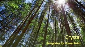  Presentation with shining forest - Presentation theme having pond at hampton court background and a light blue colored foreground