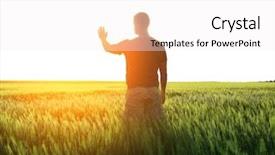  Presentation with summer wheat field blue - Colorful presentation theme enhanced with sun universe - man in wheat field backdrop and a white colored foreground