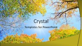  Presentation with find - Colorful slides enhanced with sun will find the way backdrop and a  colored foreground