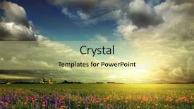  Presentation with poppies - Colorful slide set enhanced with sun wind rain storm - beautiful spring field with poppies backdrop and a soft green colored foreground