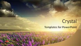  Presentation with forest beautiful spring nature - Audience pleasing presentation consisting of sun wind rain storm - beautiful spring field with poppies backdrop and a  colored foreground