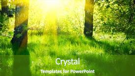  Presentation with nature sun trees - Cool new slide deck with sunbeam - nature scene summer park beautiful backdrop and a shamrock green colored foreground