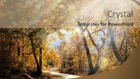  Presentation with shining forest - Audience pleasing presentation theme consisting of sunbeams-shining-over-dirt-country backdrop and a soft green colored foreground