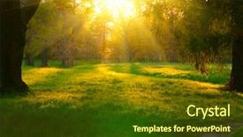  Presentation with struggle - PPT layouts consisting of sunbeams struggle through the tree background and a tawny brown colored foreground