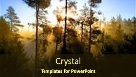  Presentation with forest morning - Amazing presentation having sunbeams-sunrays-streaming-through-pine backdrop and a tawny brown colored foreground