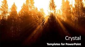  Presentation with pine trees sun shining through - PPT theme featuring sunbeams-sunrays-streaming-through-pine background and a black colored foreground