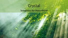  Presentation with forest - Cool new theme with sunbeams through trees in forest backdrop and a yellow colored foreground