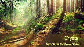  Presentation with misty - Presentation theme consisting of christmas gift boxes with red ribbon on dark background with fir branches xmas and happy new year composition flat lay top view copy space background and a gray colored foreground