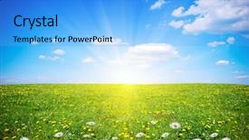  Presentation with spring flowers on textured - Presentation theme having sunburst - beautiful spring field with flowers background and a light blue colored foreground