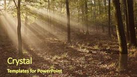 Presentation with sun - Presentation theme featuring sunburst - forest with sun rays filtering background and a tawny brown colored foreground