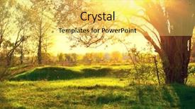  Presentation with nature sun trees - Presentation having sunburst - nature sunset scene summer park background and a yellow colored foreground