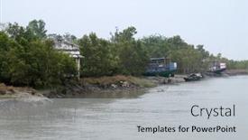  Presentation with mangrove - Beautiful slide deck featuring sundarbans-india-february-25-2020 backdrop and a light gray colored foreground