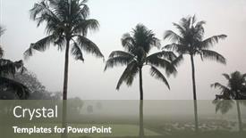  Presentation with misty - 