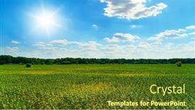  Presentation with agriculture field - Presentation theme featuring sunflower-agriculture-field-and-blue background and a tawny brown colored foreground