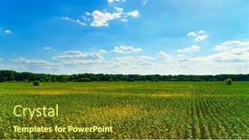  Presentation with agriculture field - Theme with sunflower-agriculture-field-and-blue background and a tawny brown colored foreground