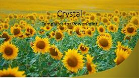  Presentation with beautiful spanish landscape costa blanca - Colorful PPT theme enhanced with sunflower field beautiful summer landscape backdrop and a  colored foreground