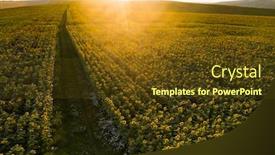  Presentation with sunflower sunflower sunflower sunflower sunflower - Presentation theme consisting of sunflower-field-in-magic-sunset background and a tawny brown colored foreground