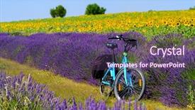  Presentation with electric bicycle - PPT layouts featuring sunflower field in provence background and a violet colored foreground