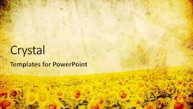  Presentation with sunflower sunflower sunflower sunflower sunflower - PPT theme featuring sunflower field over grunge background background and a blonde colored foreground